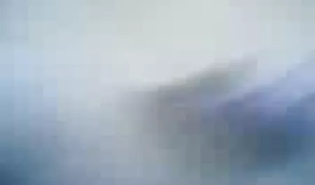 나는 당신이 먹을 수 기 르 있는 씨앗의 CEI 지