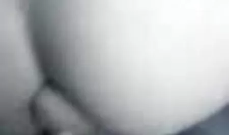 -설탕과를 얻 구강 베 르 에 이 세계