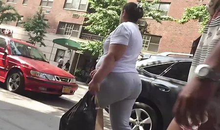 누가 알고있는 고양이 이길 수 있는 더블 침투르 크리스탈 난초