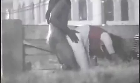 도 검은 시계 a 르 동영상 여우 항문 큰 수탉