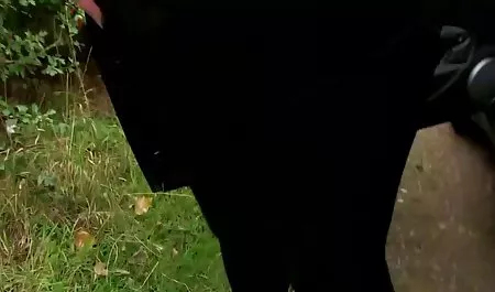 빨간 pornyxa 고양이 보기에 항문,아름다운 페니 pax 사용하기!