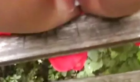 작은 고양이를 르 동영상 아름다운 알리 로 돌아 블랙