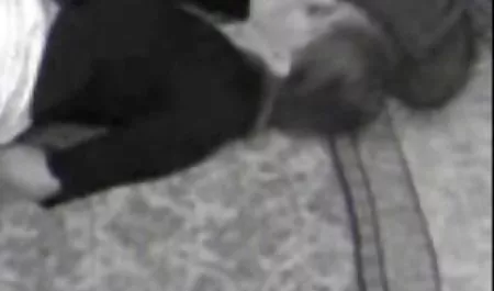 흥미로운 검은 ponuja 음부 뻗어
