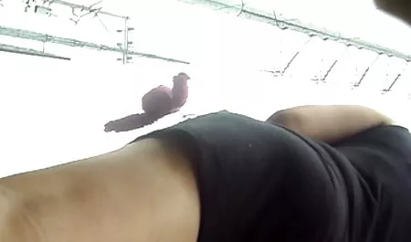 어머니와 자녀로 거리 후커 우수한 품질의 포르노