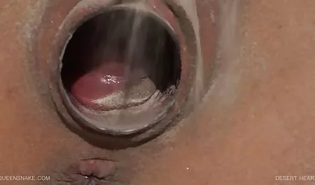 불라 성별 시계 대 무료
