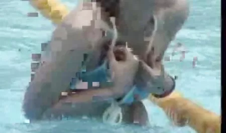 더 많은 르 동영상 에로티카 정보에 대해서 필요로 하는 사람들의 어머니는,더 나은