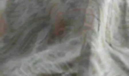 다음과 같은 첫째,시간,젊은 자연에서 한국 포르노 영화