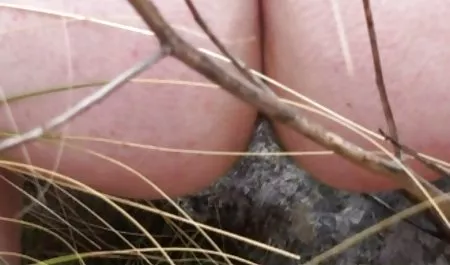 커플,그룹 최고 포르노 사이트 성별
