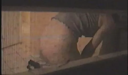 이야기와 이모 김. 섹스 에르