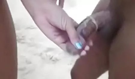 벚꽃 포퍼 성별 MIT